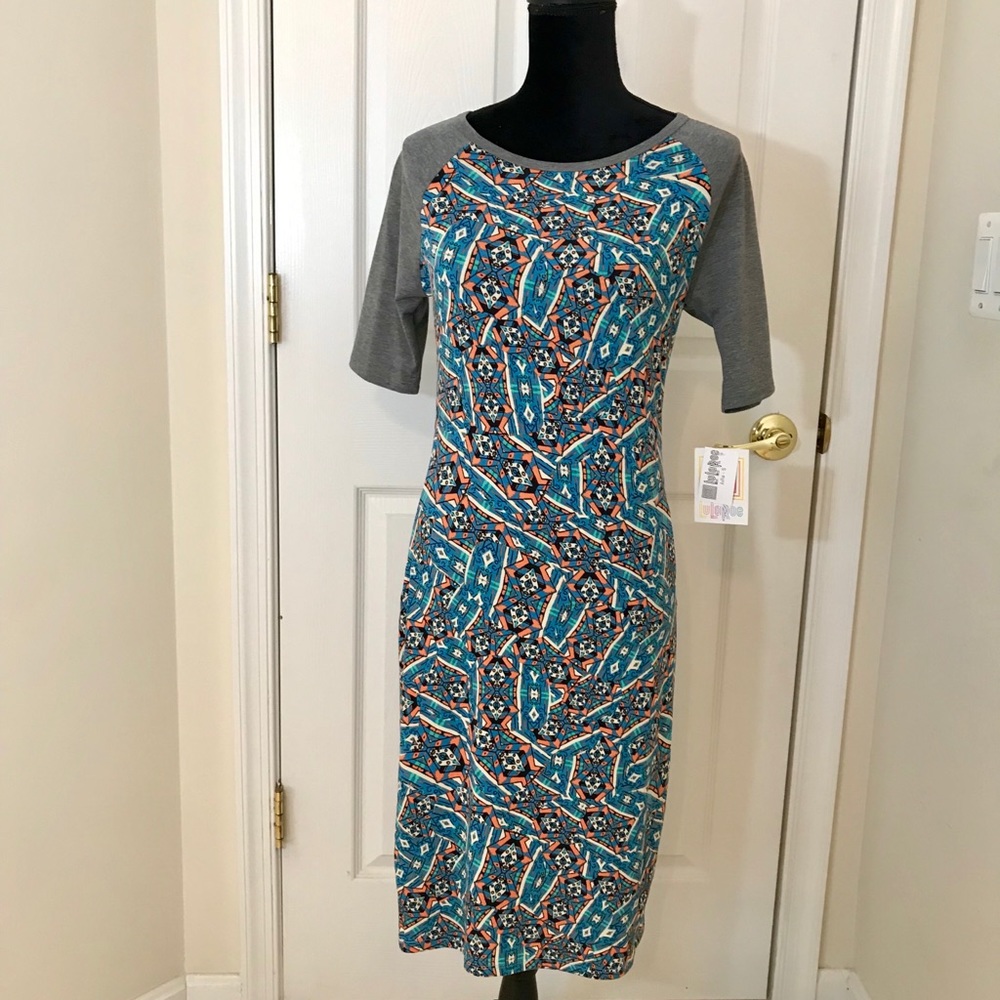 LuLaRoe Julia Dress / Ready For Spring Colors / S